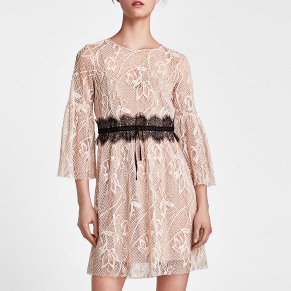 Zara Basic Blush Lace Dress with Flare 3/4 Sleeves Size M - Picture 1 of 7